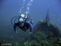   Dive Buddy anyone  
